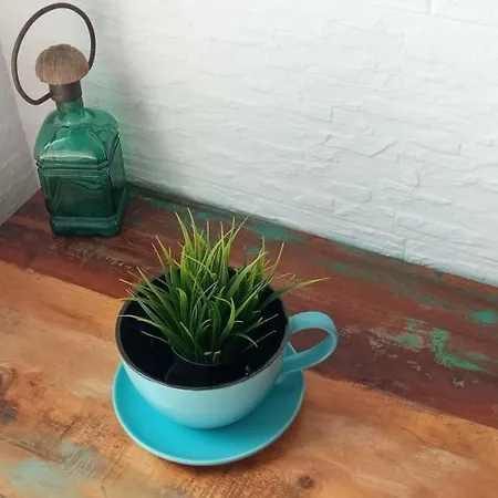 Puglia Pisani 39 アパート *